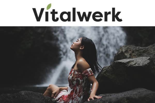 viennaflight_2022-11_b